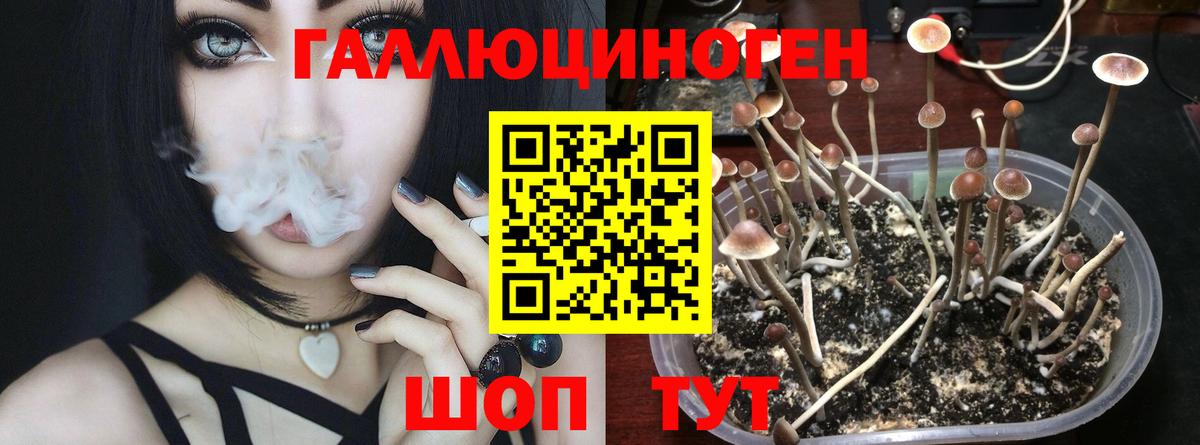 что такое   Галлюциногенные грибы Magic Shrooms  Вход с VPN  Ярцево 