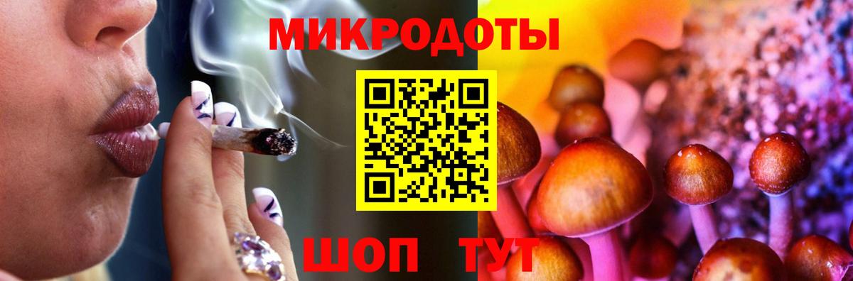 Галлюциногенные грибы Psilocybe Ярцево